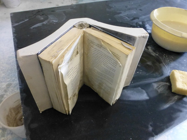book mould